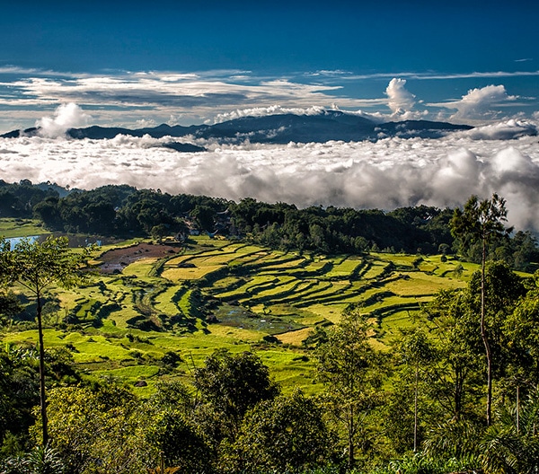 4 Days Toraja Trekking Tour