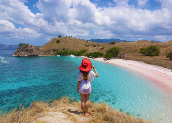 Pink Beach Komodo Tour