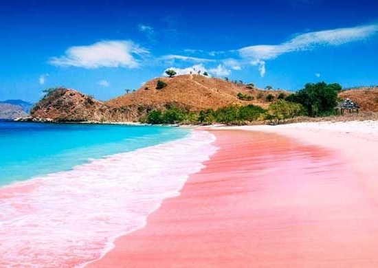 Pink Beach Komodo Tour