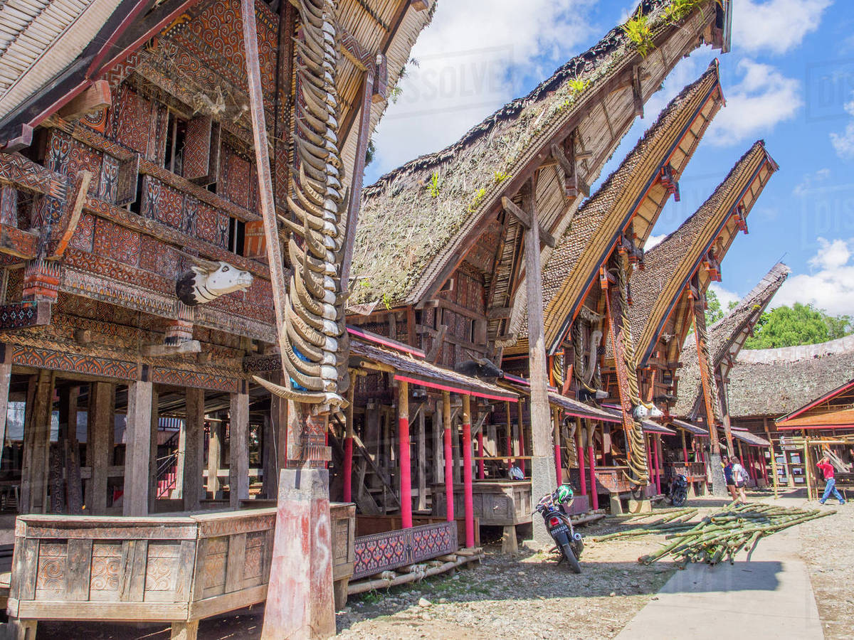  Tongkonan  Toraja Traditional House with Rich Meanings