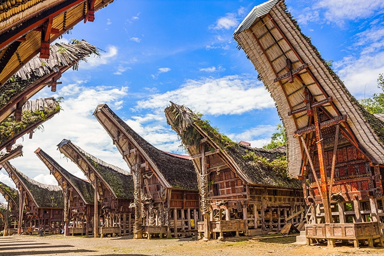 Toraja Tour